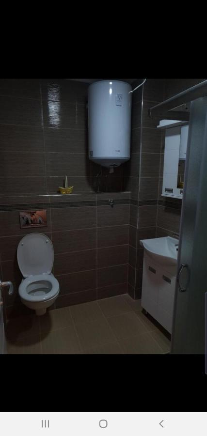 Pejovic apartmani Ni Cameră foto
